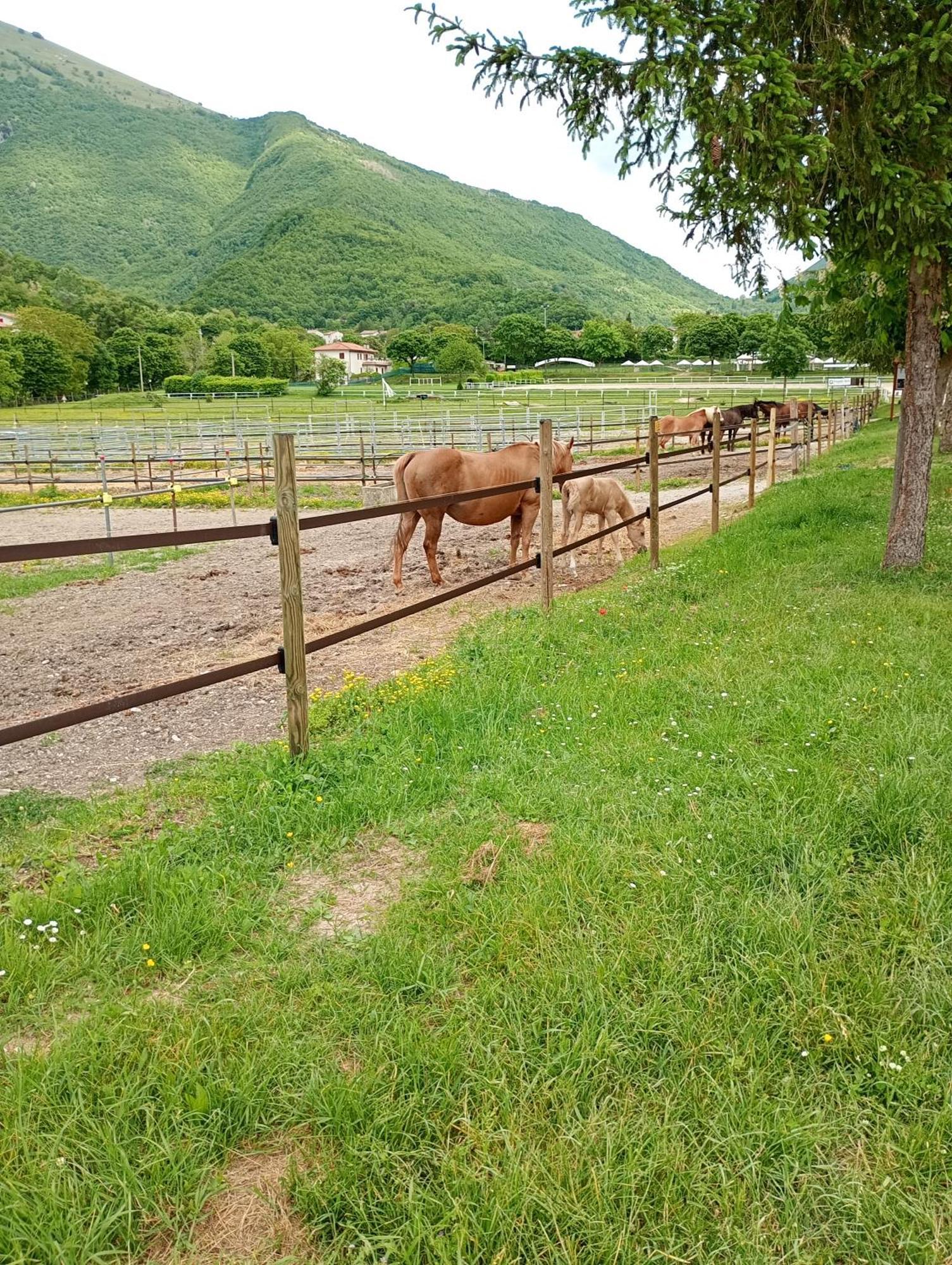 Vakantiehuis La Dimora Dei Ricordi